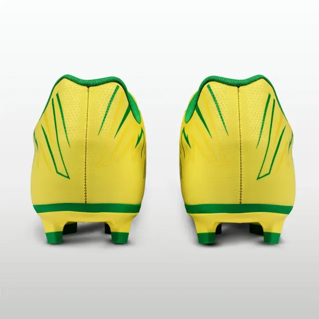 WC Stud- Brazil – Nivia