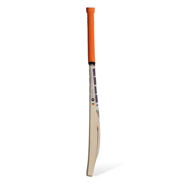 Cannon Kashmir Willow Cricket Bat – SS