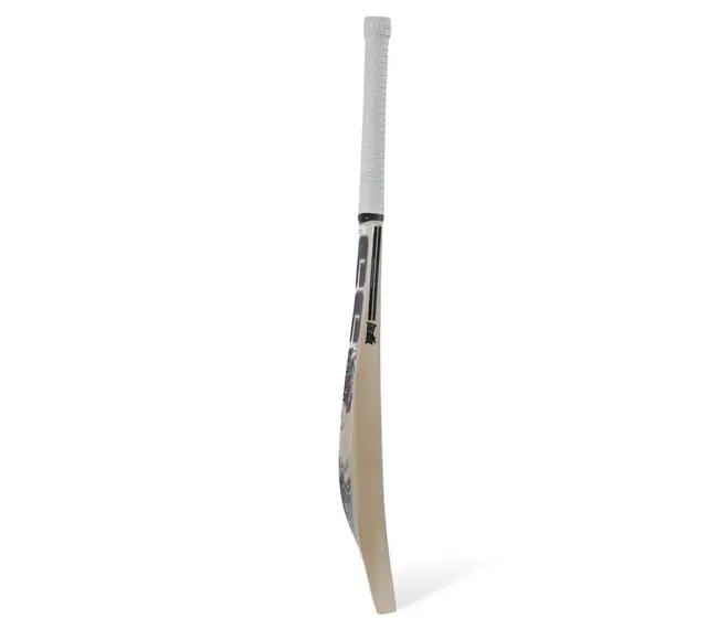Devil Red Kashmir Willow Cricket Bat – SS