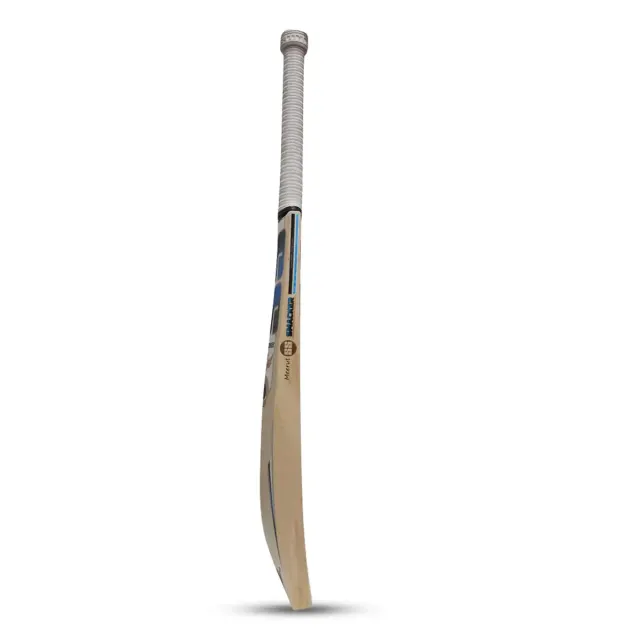 GG Smacker Blaster English Willow Cricket Bat – SS