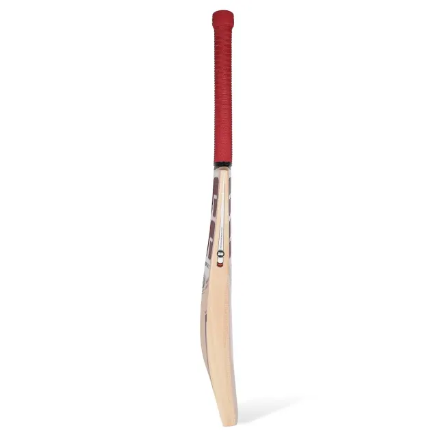 Gutsy Kashmir willow Cricket Bat – SS