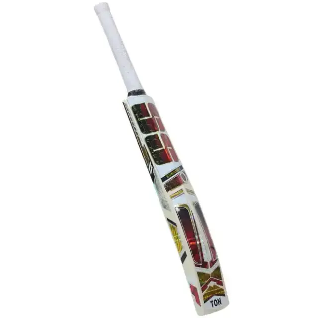 Master Kashmir Willow Cricket Bat – SS