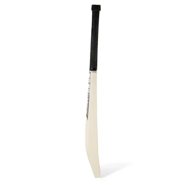 Middler Kashmir Willow Bat – SS