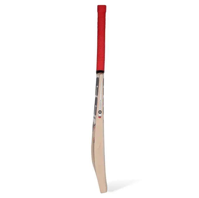 Ranger Kashmir Willow Cricket Bat – SS