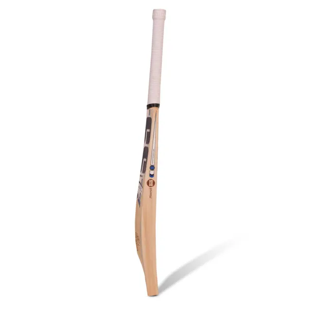 Ryan Rickelton Player English Willow Cricket Bat – SS