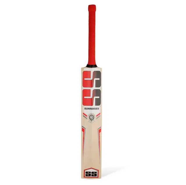 Slogger Kashmir Willow Cricket Bat – SS