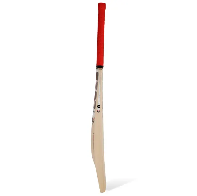 Slogger Kashmir Willow Cricket Bat – SS