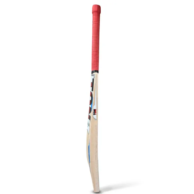 TON Maximus Kashmir Willow Cricket Bat – SS