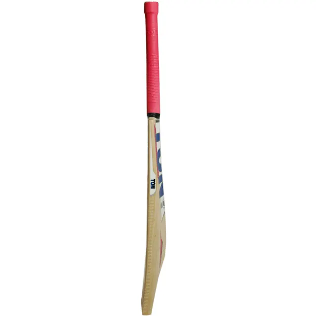 TON Power Plus Kashmir Willow Cricket Bat – SS