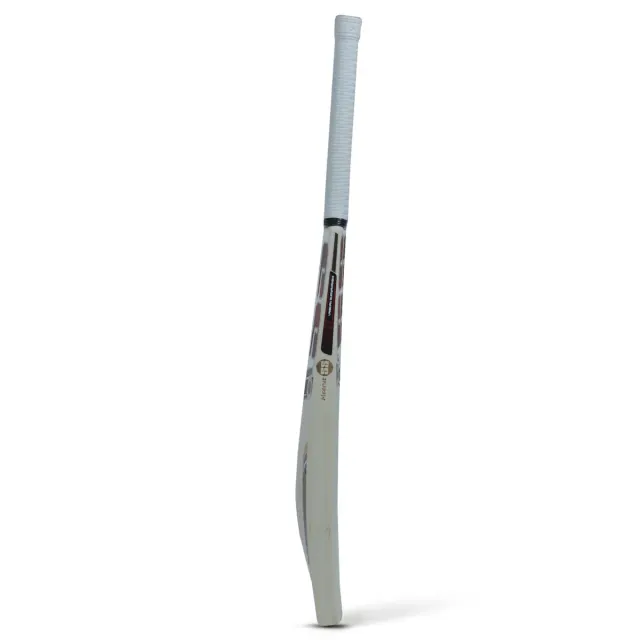 Vaibhav Sooryavanshi Kashmir Willow Cricket Bat – SS