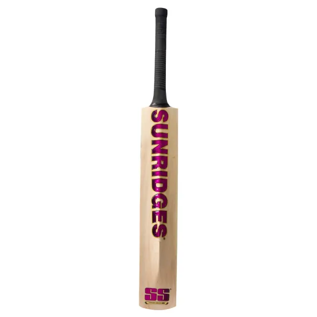 Vintage Platinum Kashmir Willow Cricket Bat – SS