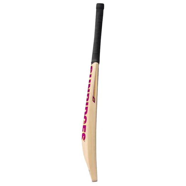 Vintage Platinum Kashmir Willow Cricket Bat – SS